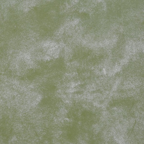 cashmere_20_olive_tree_1445734728