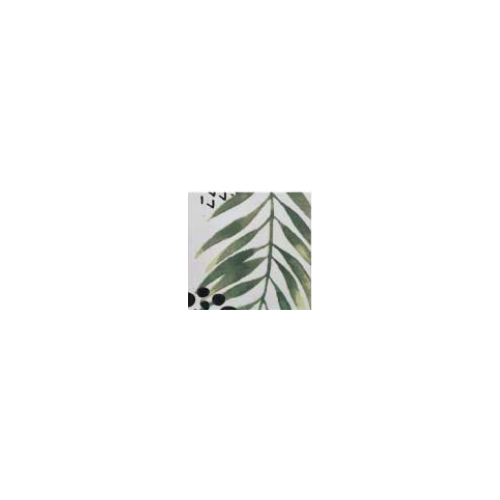 musha_botany-5