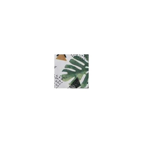 musha_botany-6