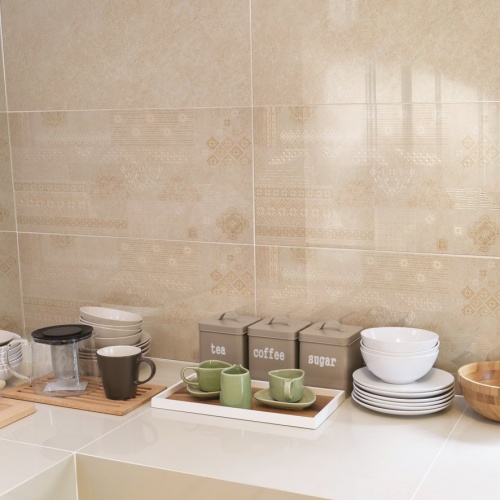 striato_series_935334436